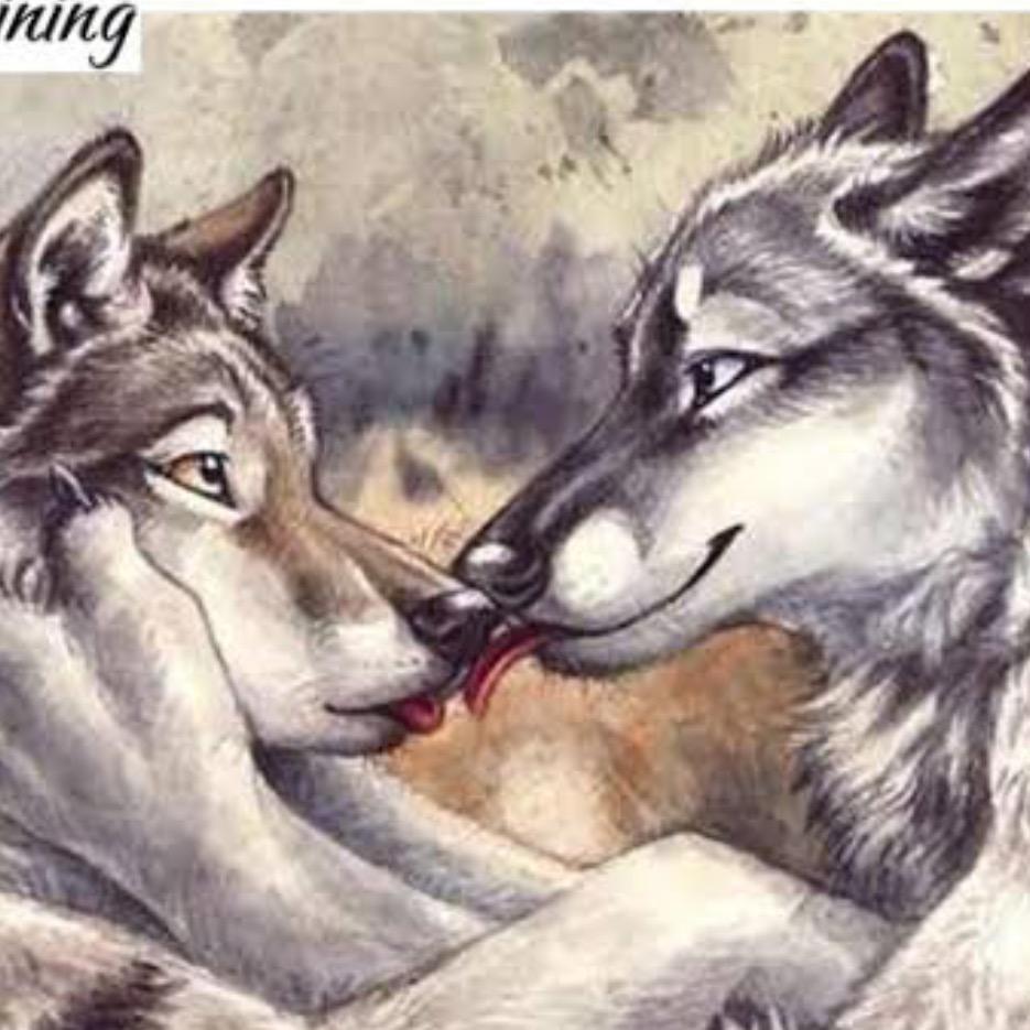 Волк с волчицей любовь тату