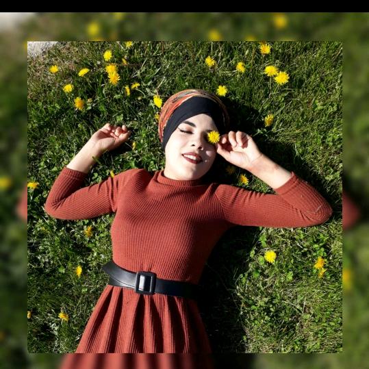sifa_acklnn