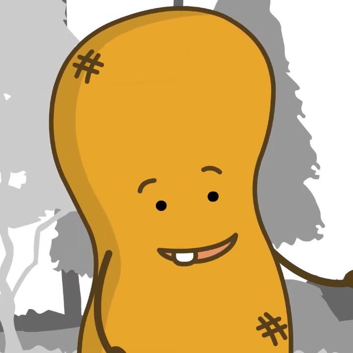 Nuts Cartoon Nuts Cartoons Tiktok Profile