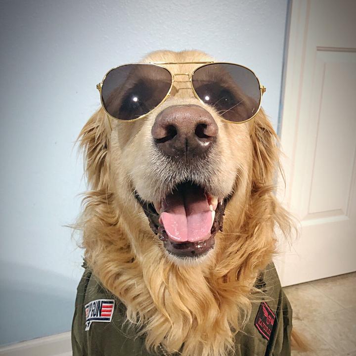 banksthegolden