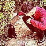 nester_xd63
