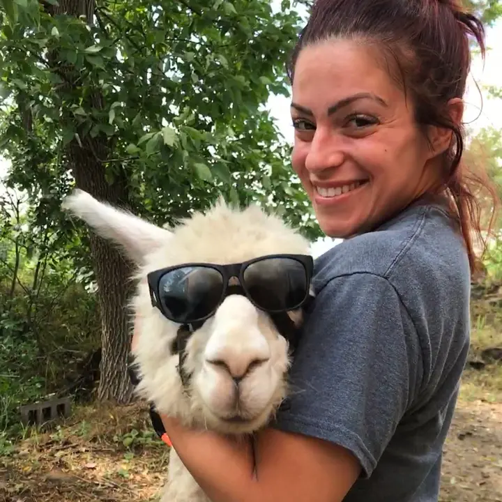 Useless Farm useless_farm TikTok Analitik Profil, video & tagar