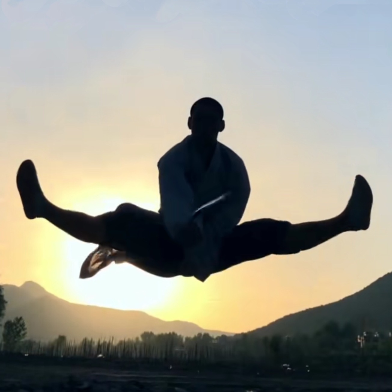 kungfu shaolin.kungfu1