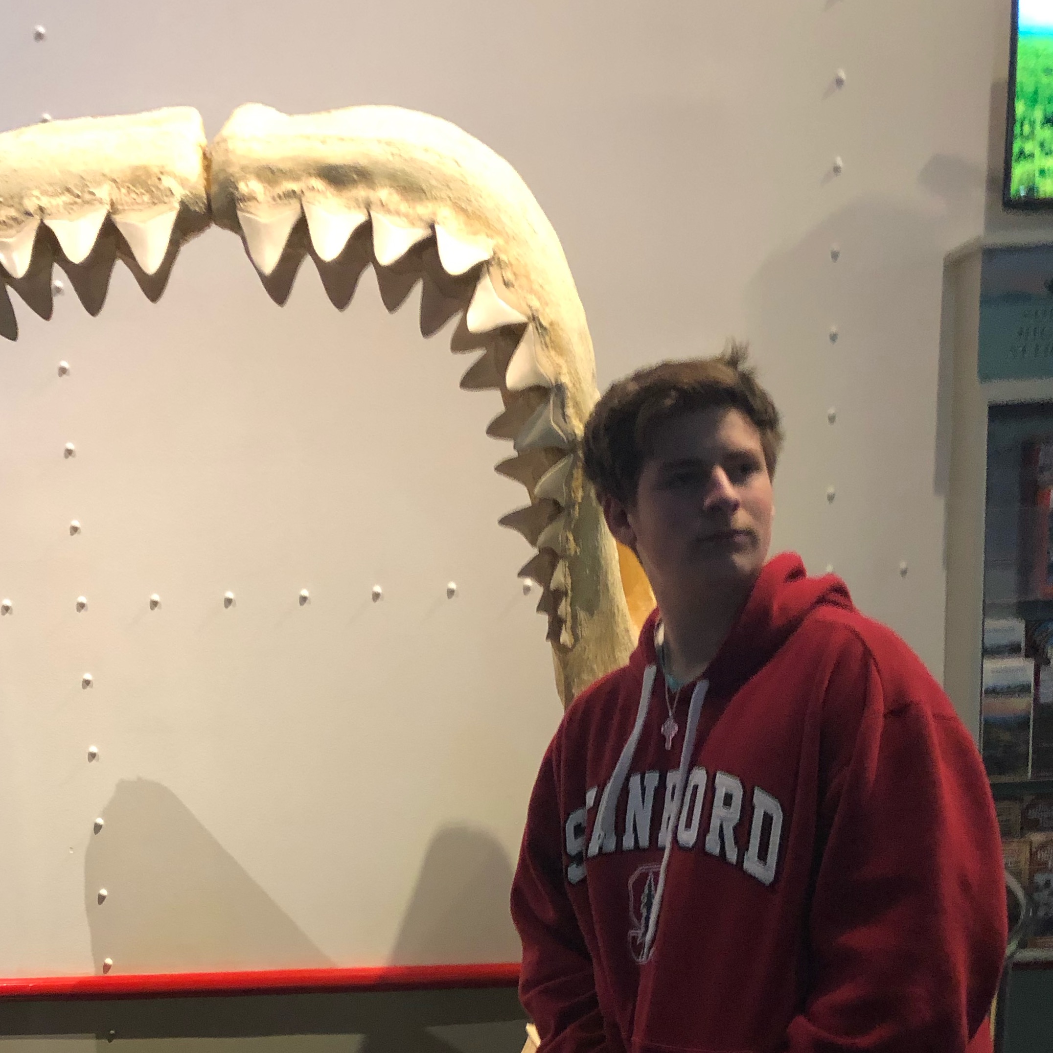 Connor Martin yankeefan_99