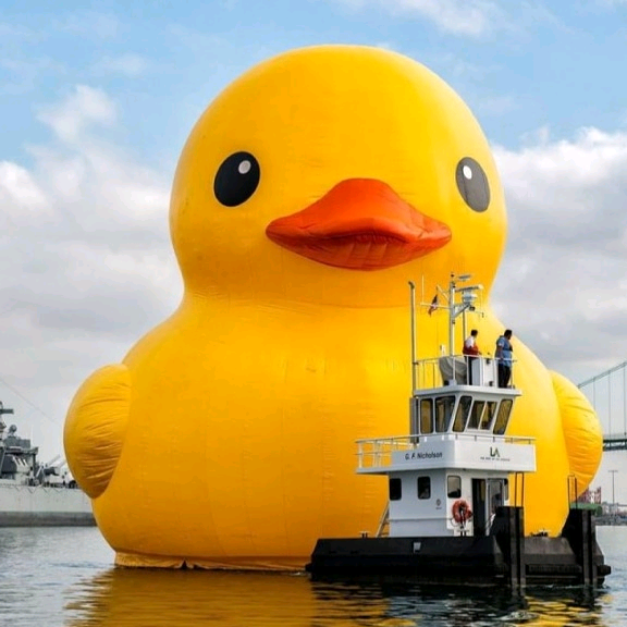 Lorn 👁️👄👁️ stayin_pro.duck.tive