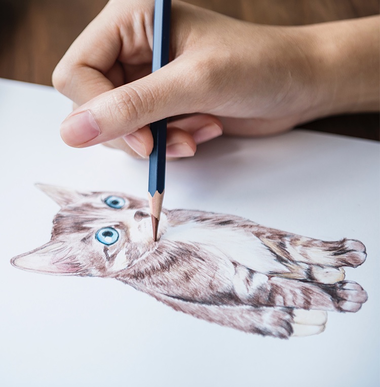 #petportrait