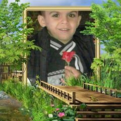 امير الحلوين اميرالحلوين4
