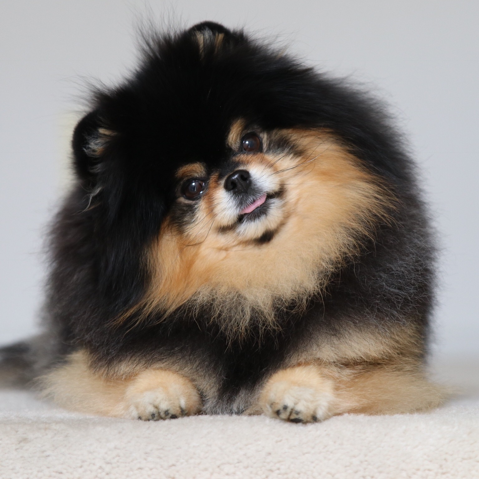 Mocha mochapom