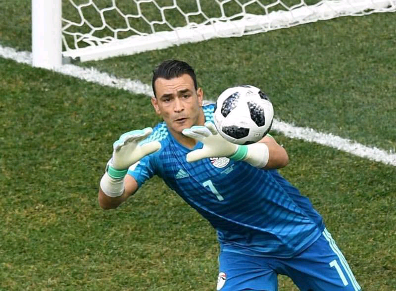 essamelhadary73 essamelhadary73
