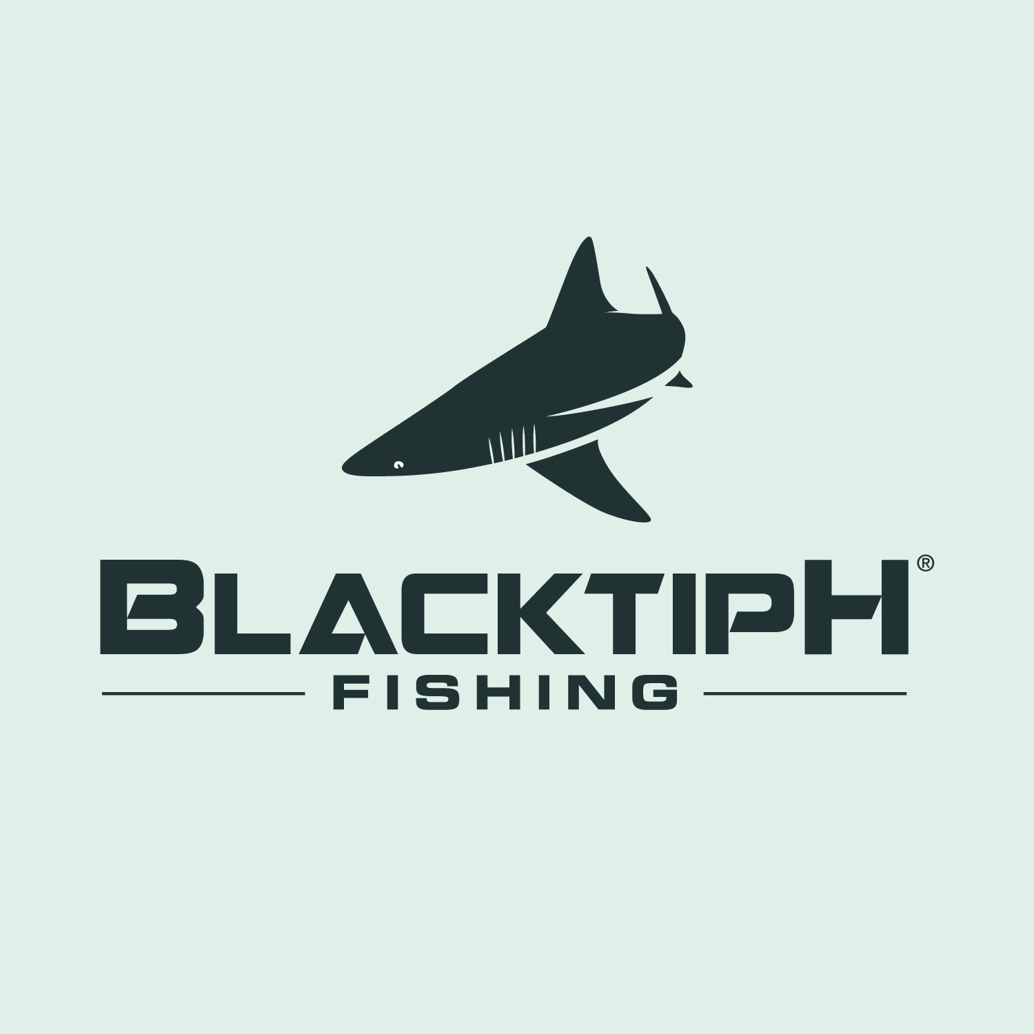 Blacktiph blacktiph