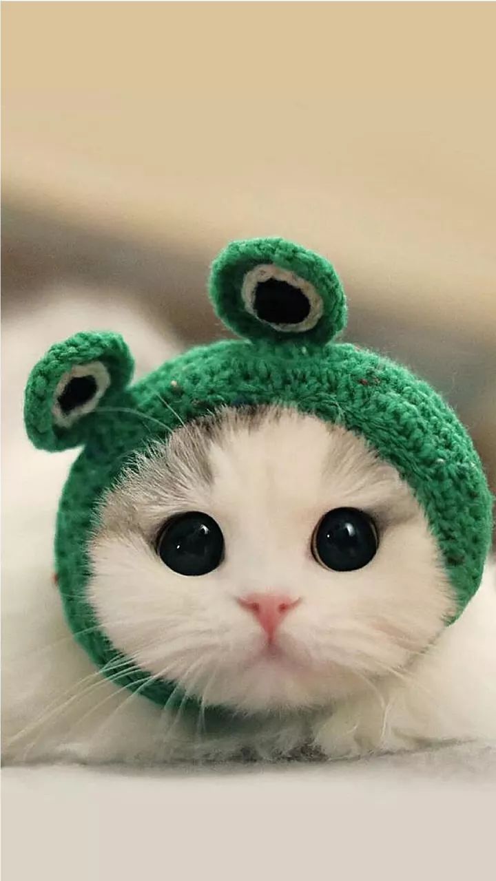 Petinho petiiiiinho