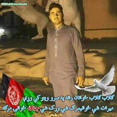 Kamran Zain kamranzain80