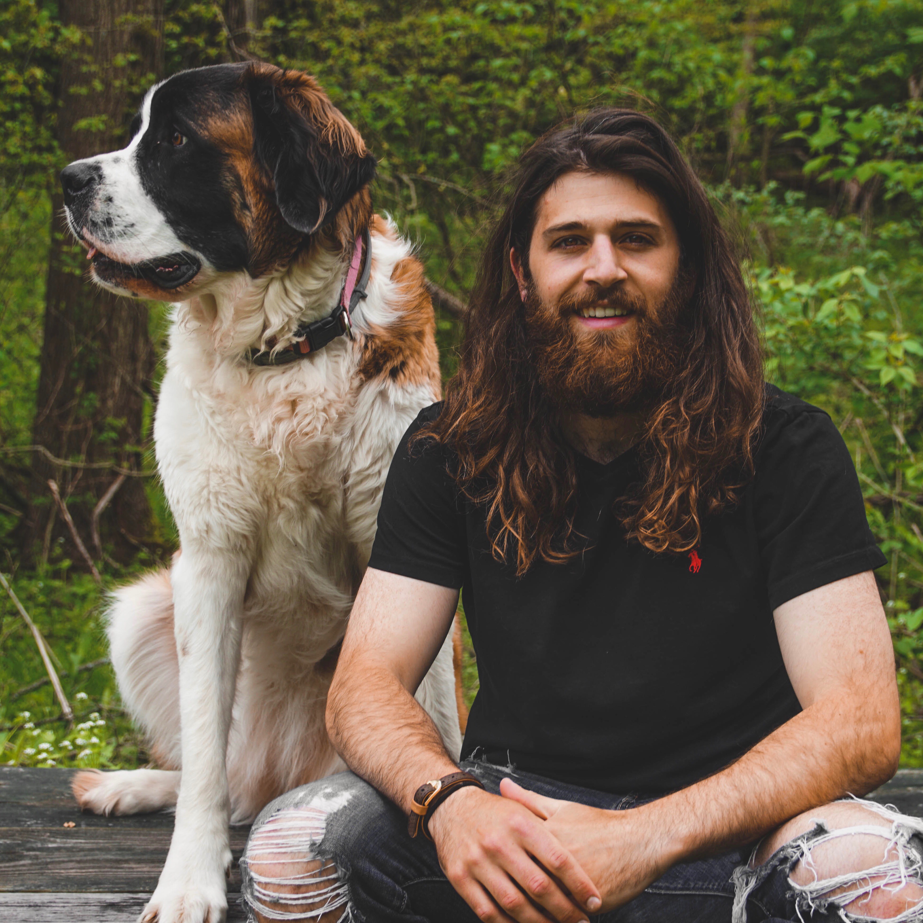 Say It Once Dog Training sayitoncedogtraining