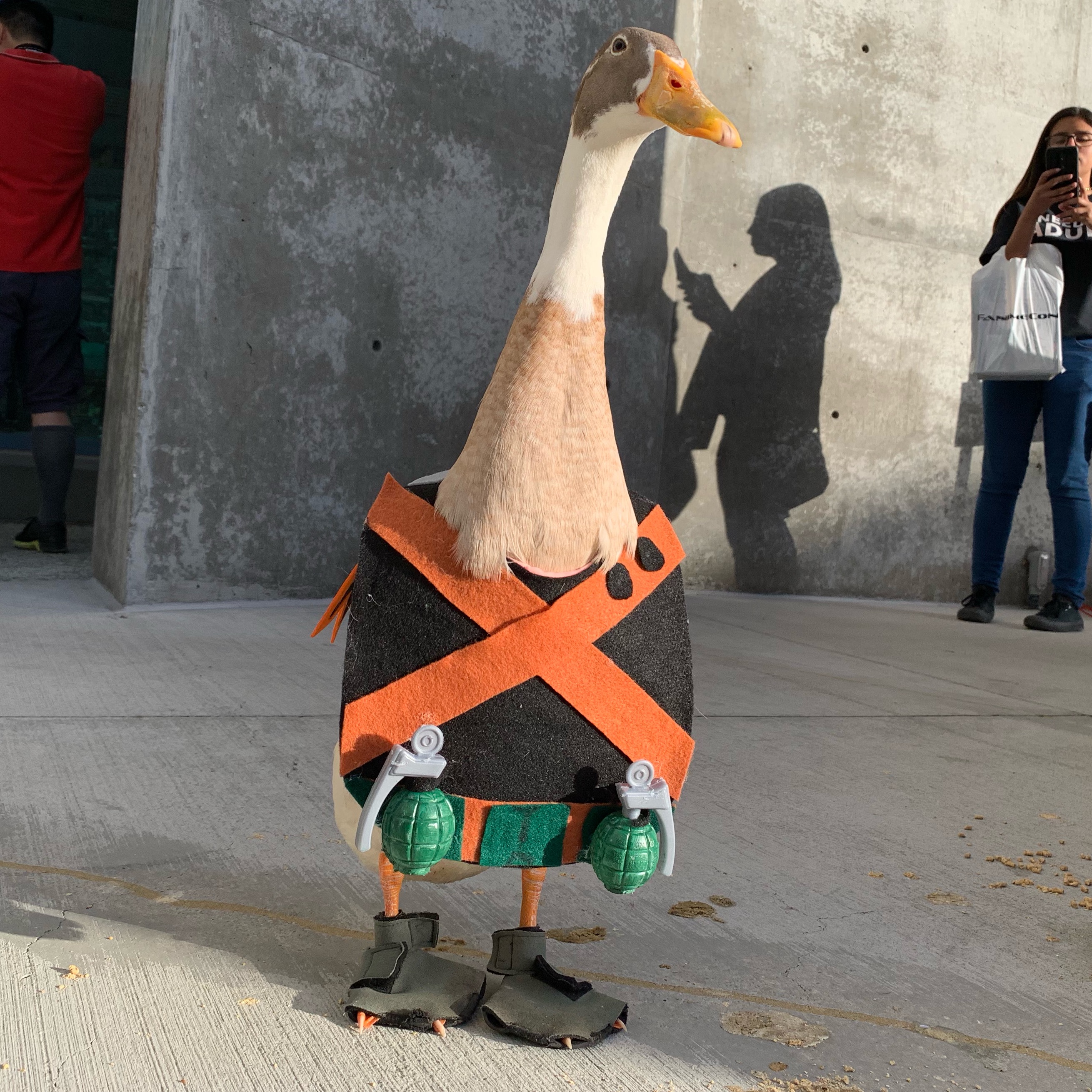 Tito The Duck titotheducky
