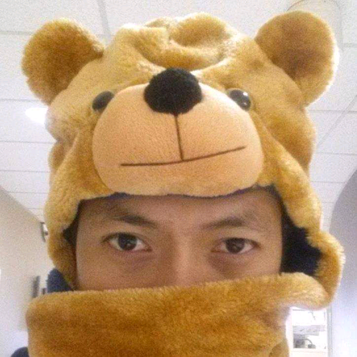 wericobear wericobear