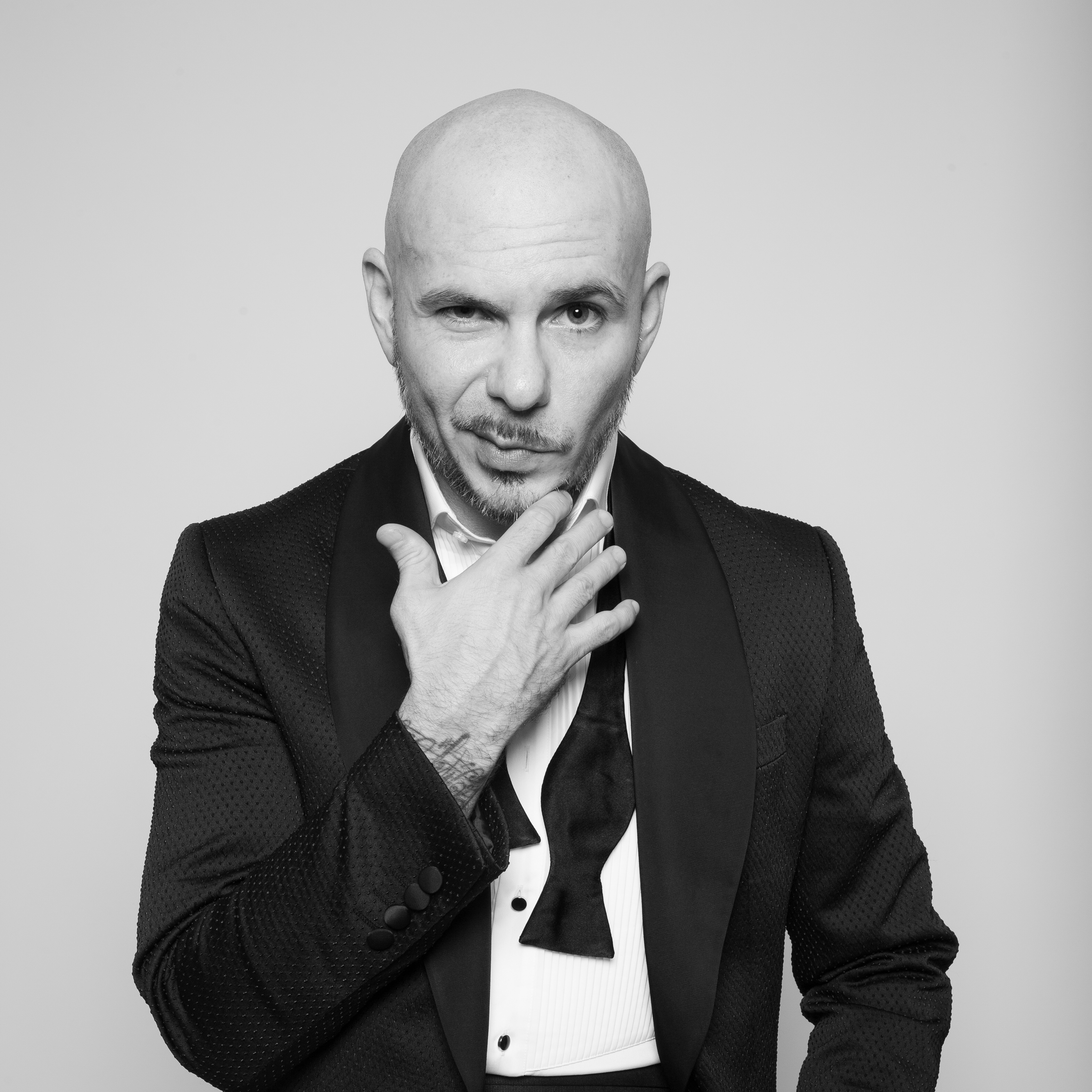 Pitbull pitbull