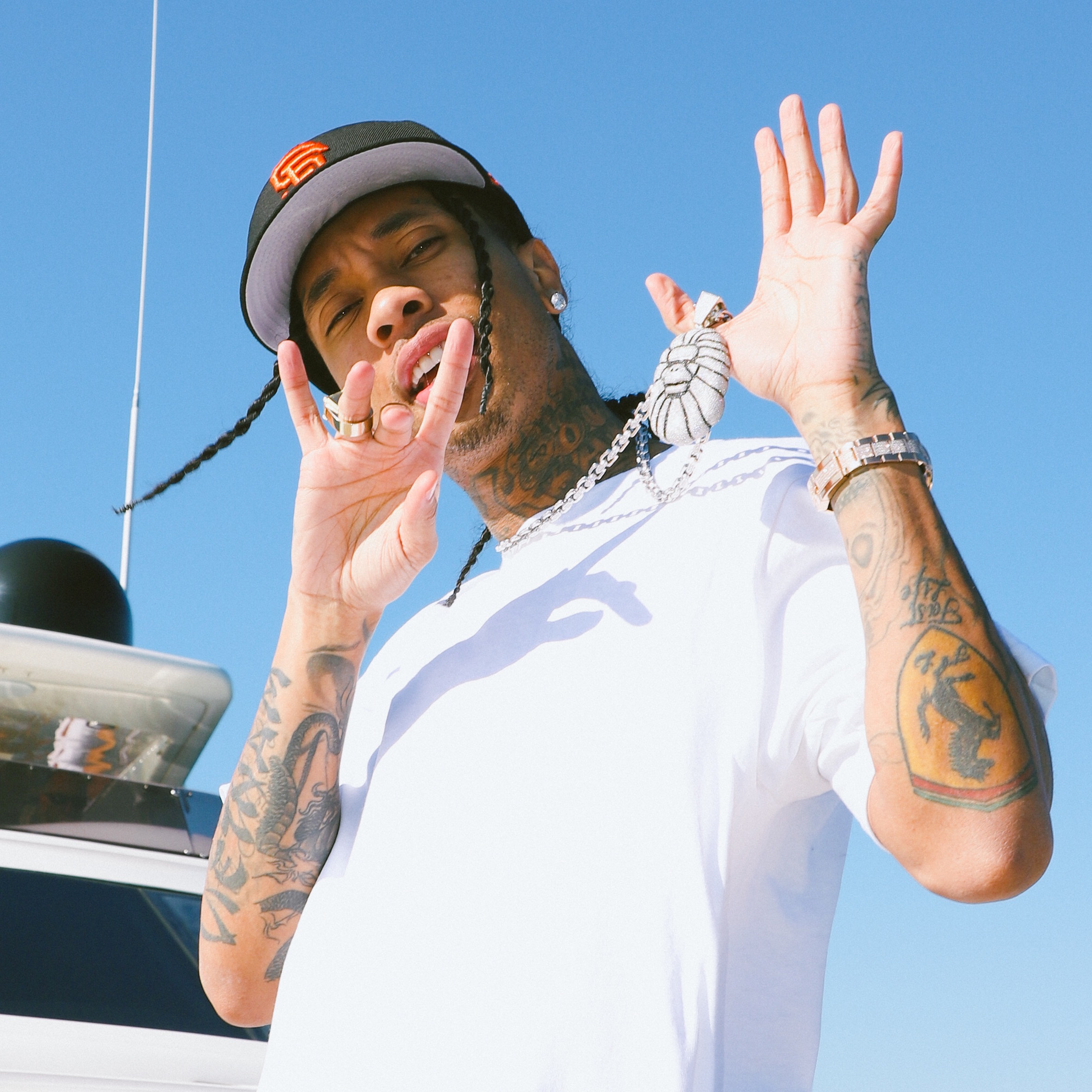 Tyga tyga