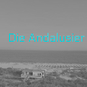 Die Andalusier dieandalusier