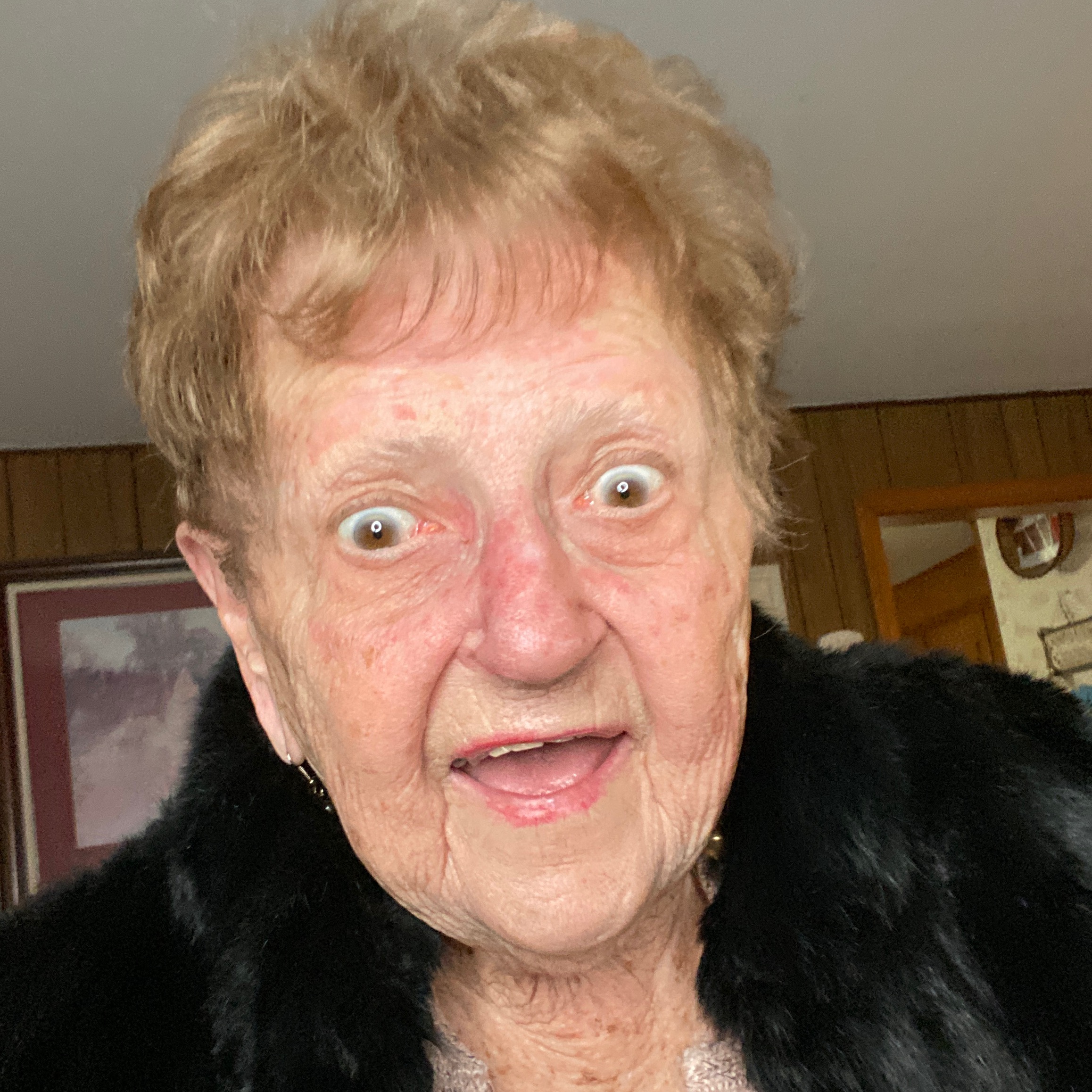 grandma_droniak grandma_droniak