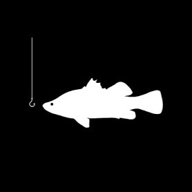 The Fisher thefisheryoutube