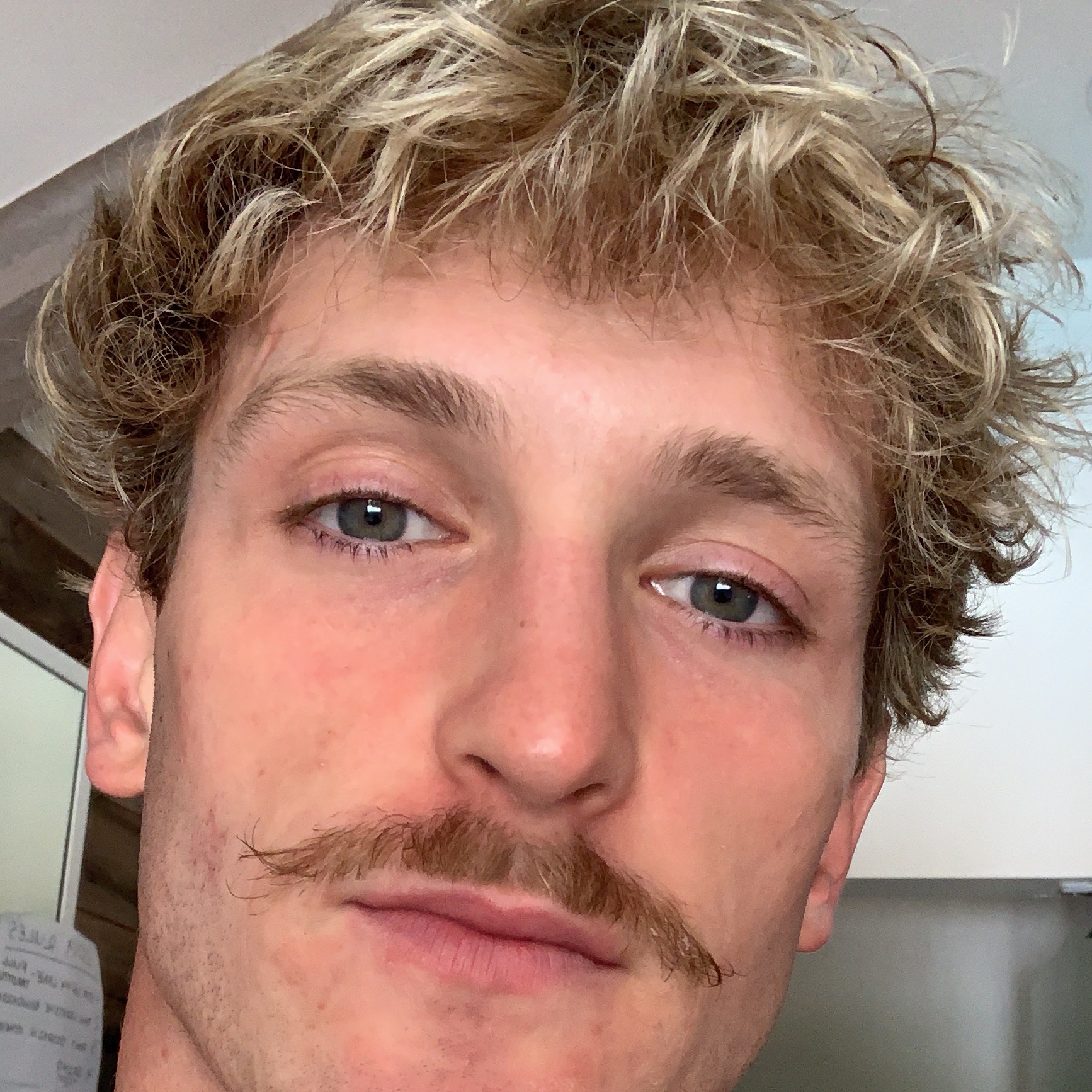 Logan Paul loganpaul
