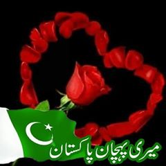 Ayaz Raja ayazraja03