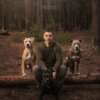 Владимир dogdressor