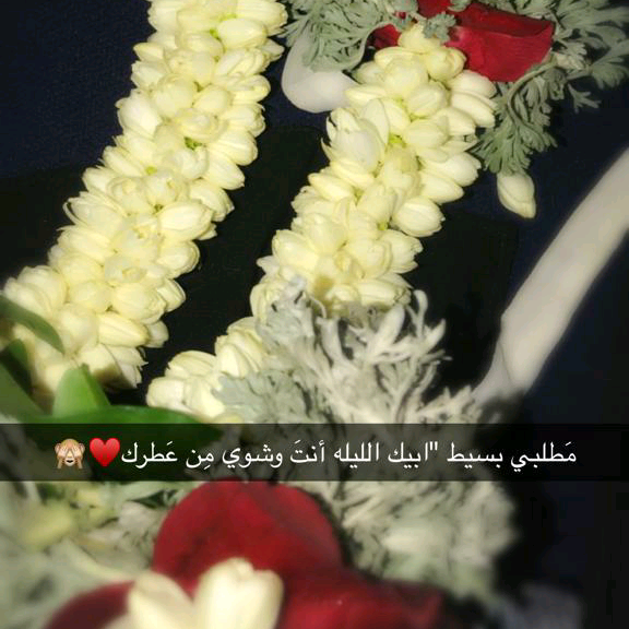 عتيق user3969586622616