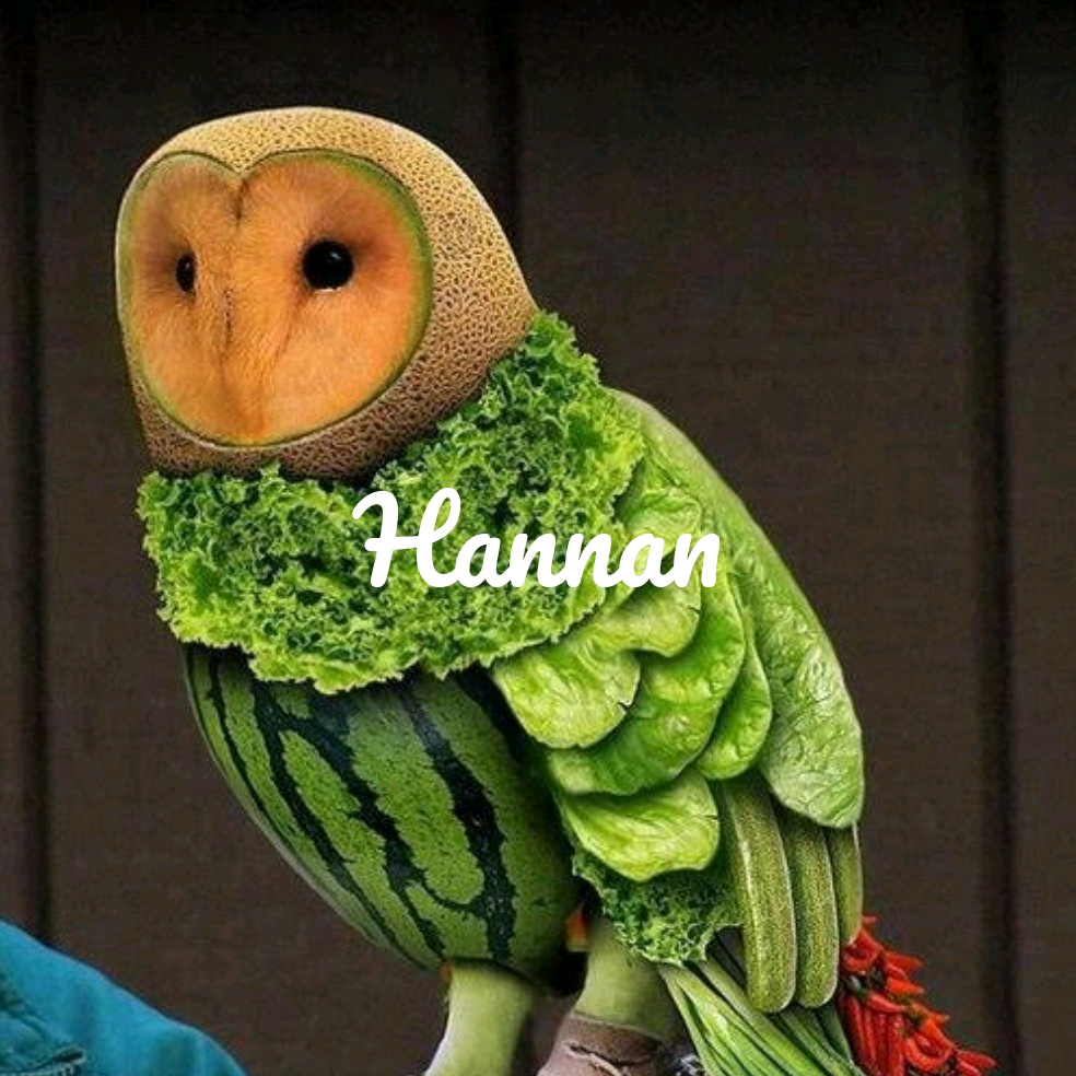 Hannan hannan555555555
