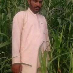 Shah Hussan shahhussan83