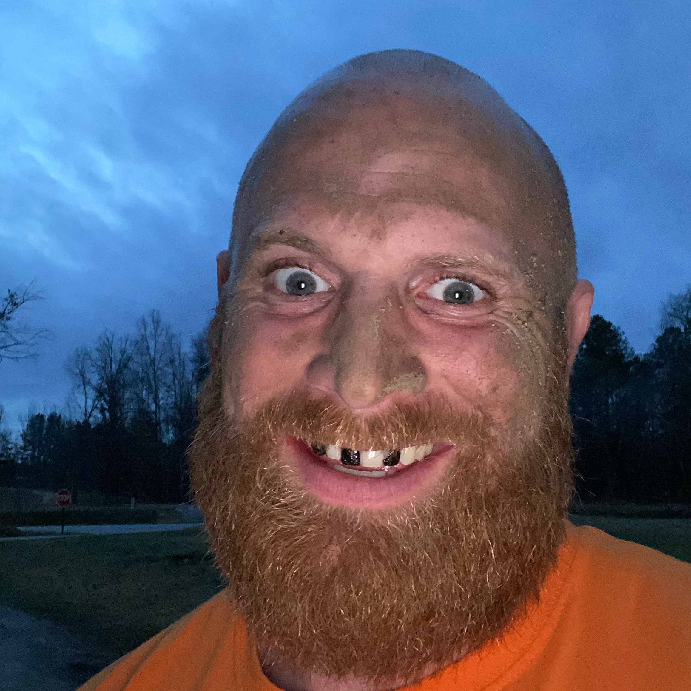 GingerBilly1 gingerbilly1