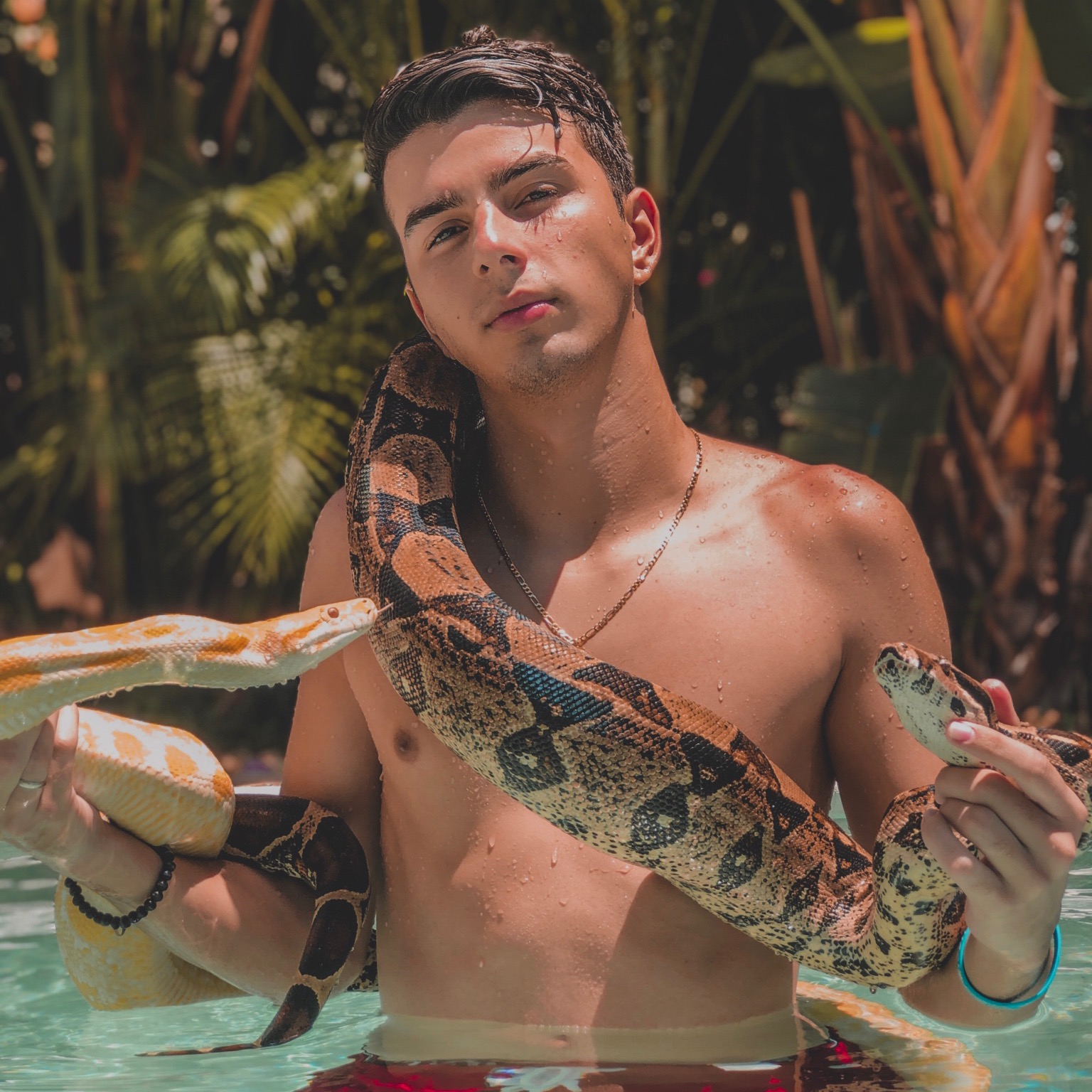 Neox gabrielneox_