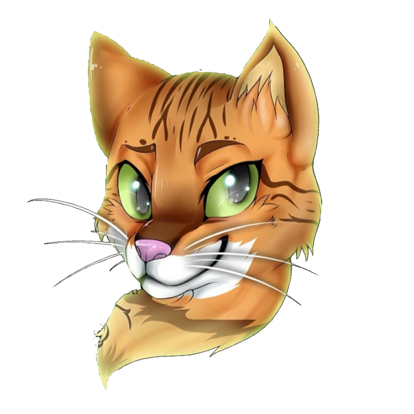 Pouncey professor_pouncey