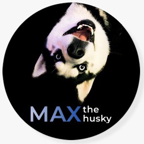 Max The Husky maxthehussky