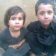 Gul Shah Zeb gulshahzeb