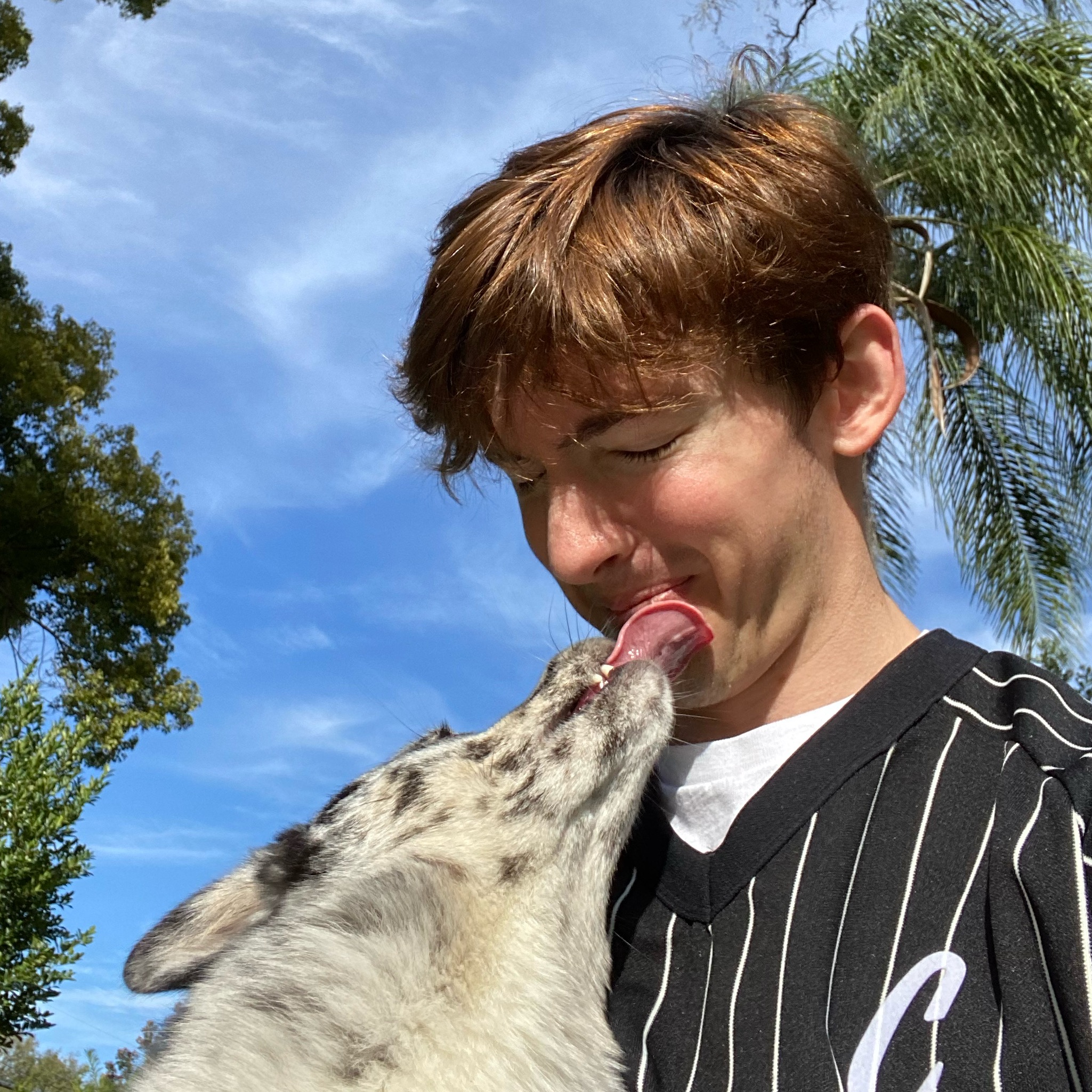albert flamingowastaken