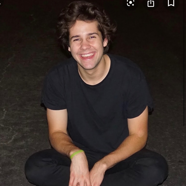 David dobrik lolfikfok