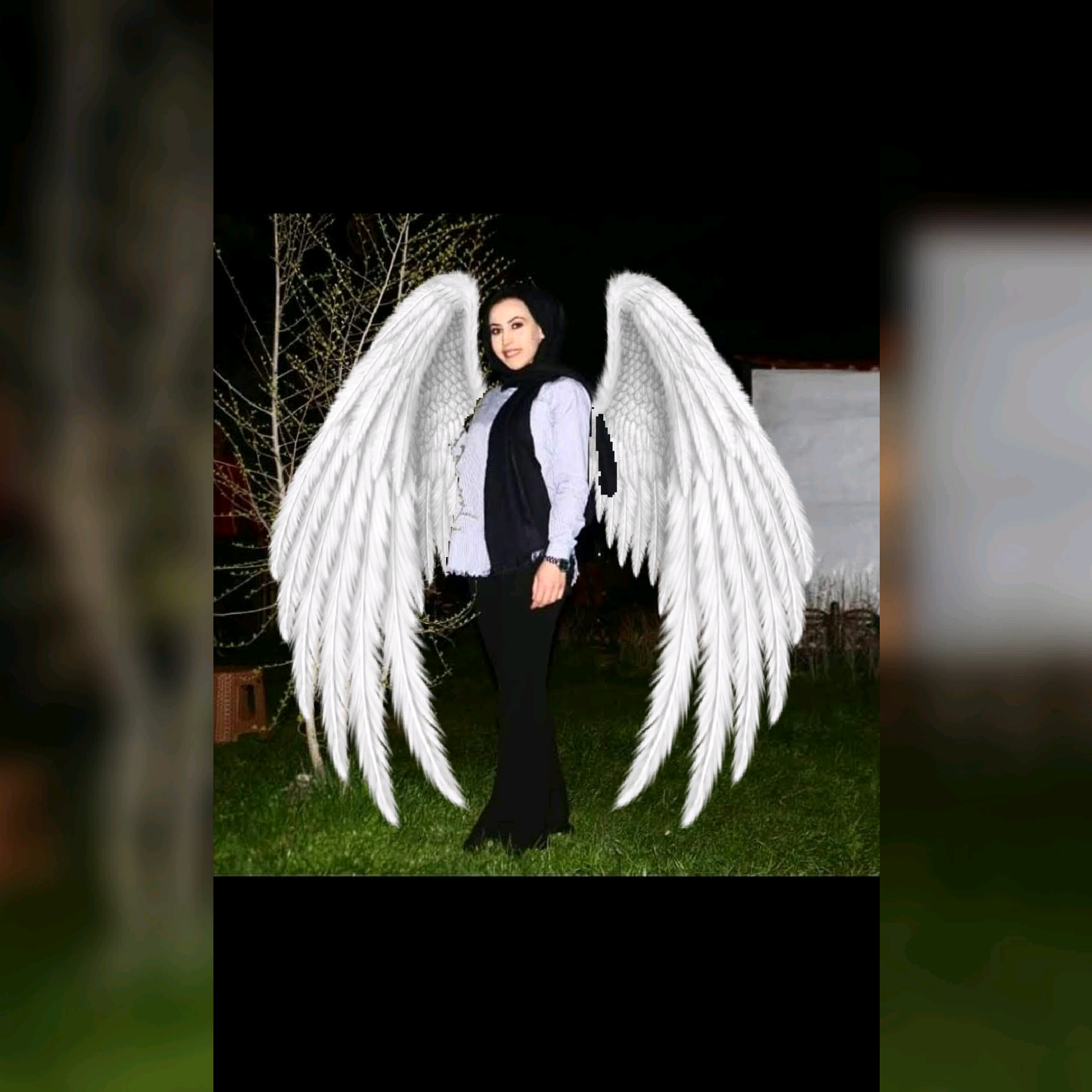 ozbeygil ozbeygil