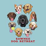 sawneedogs sawneedogs