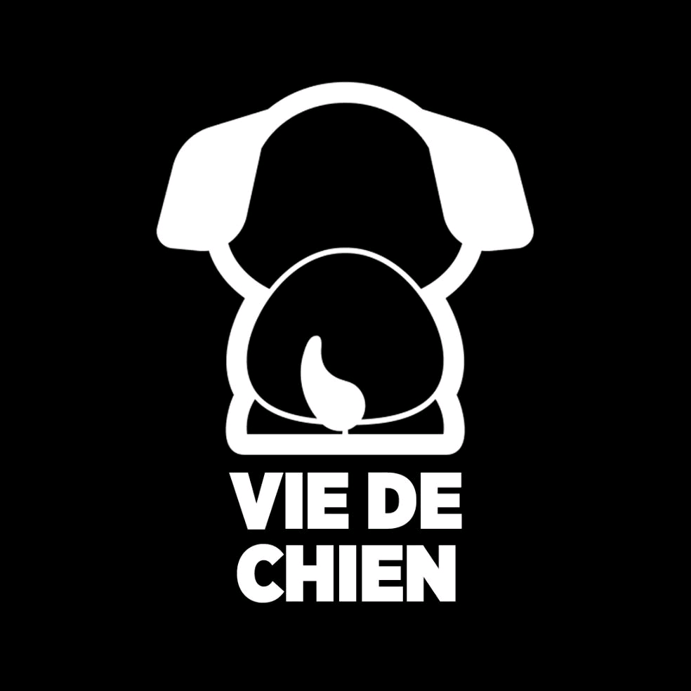 Vie de chien viedechienfr