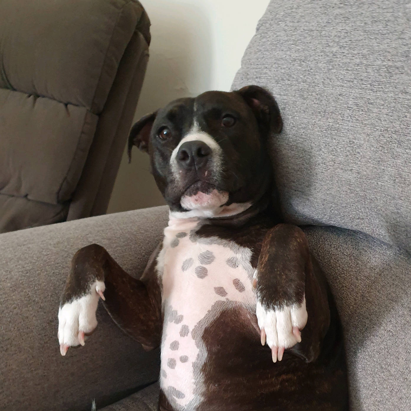 giraaaffsare@wsome cloud_staffy