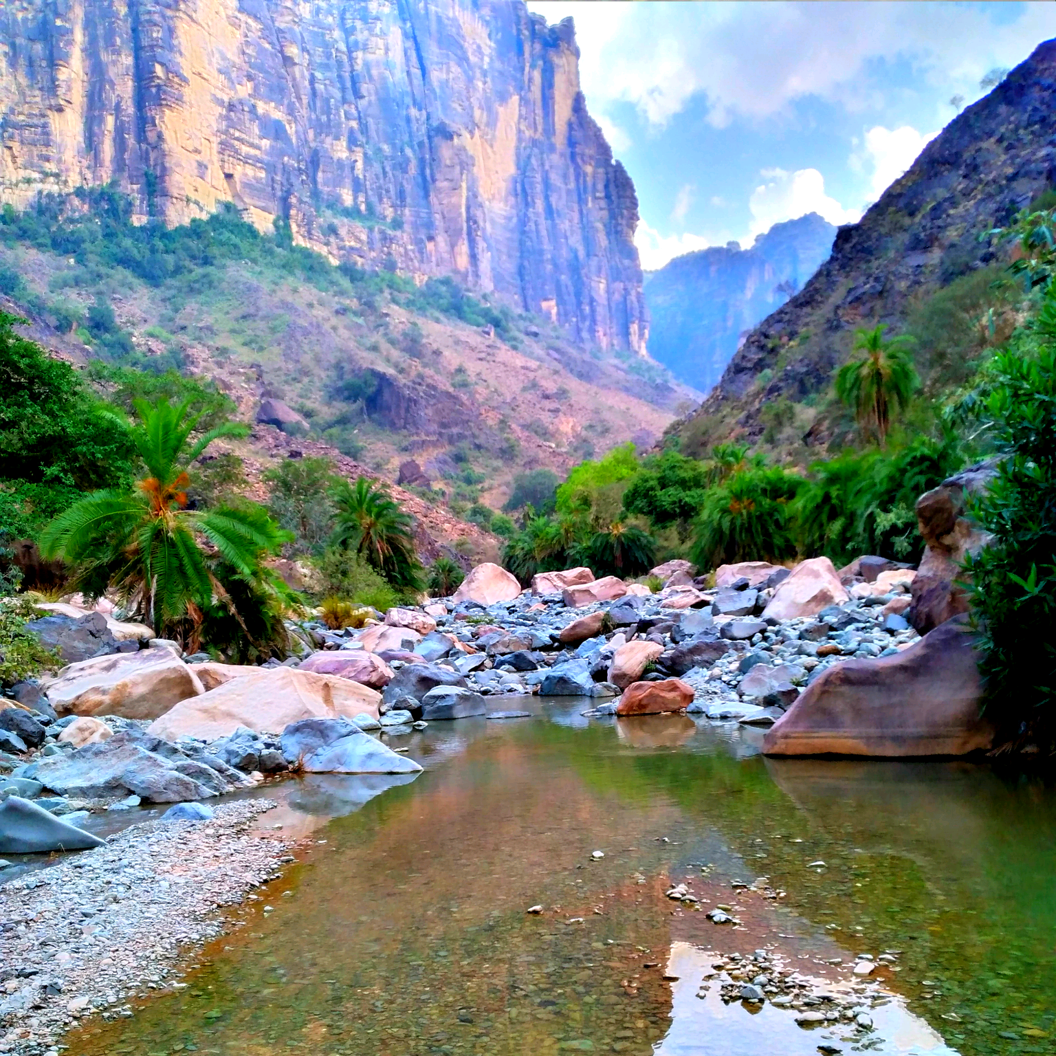 لاحق القحطاني y6we