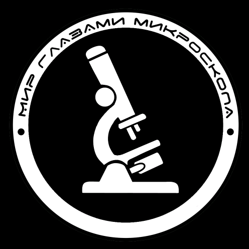 МИР ГЛАЗАМИ МИКРОСКОПА mir_glazami_microscopa