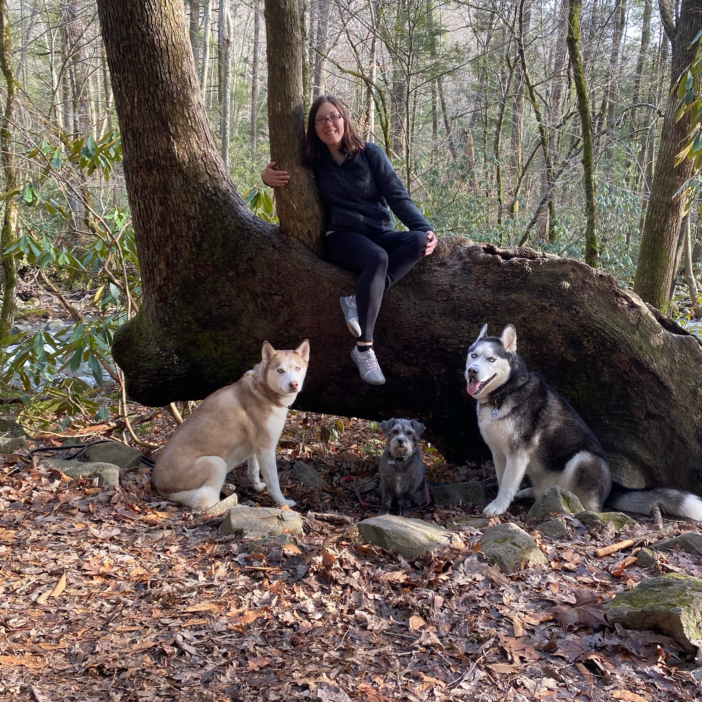 Huskymomforlife sabrina013111