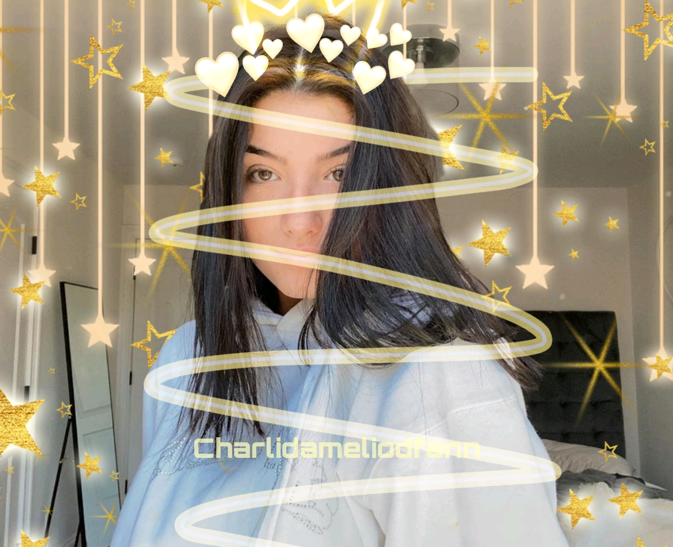 x.SunnyxChxrli.x charlidameliodfann