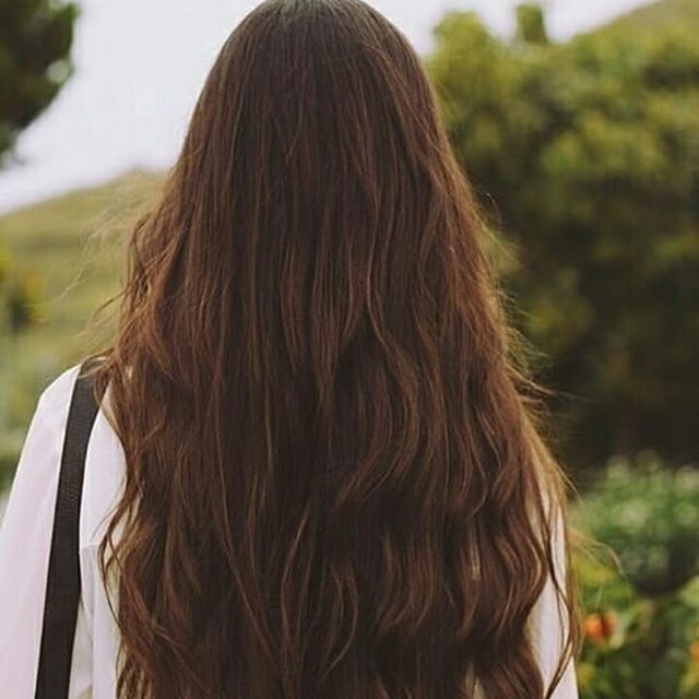 ❥ᔕᕼᗩᗪOKᗩシ shadefarhang7