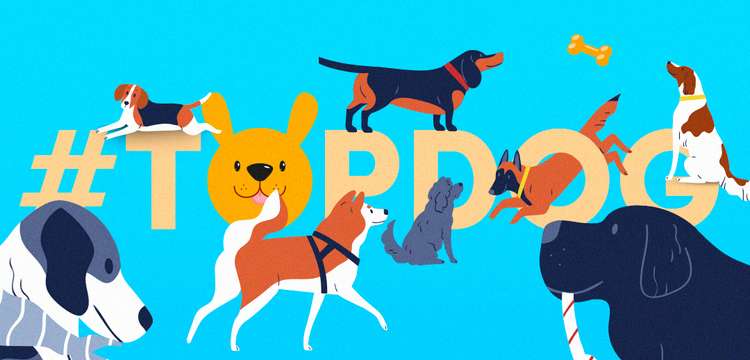 #topdog