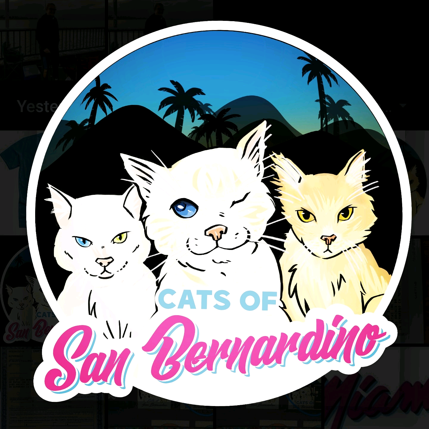 catsofsanbernardino catsofsanbernardino