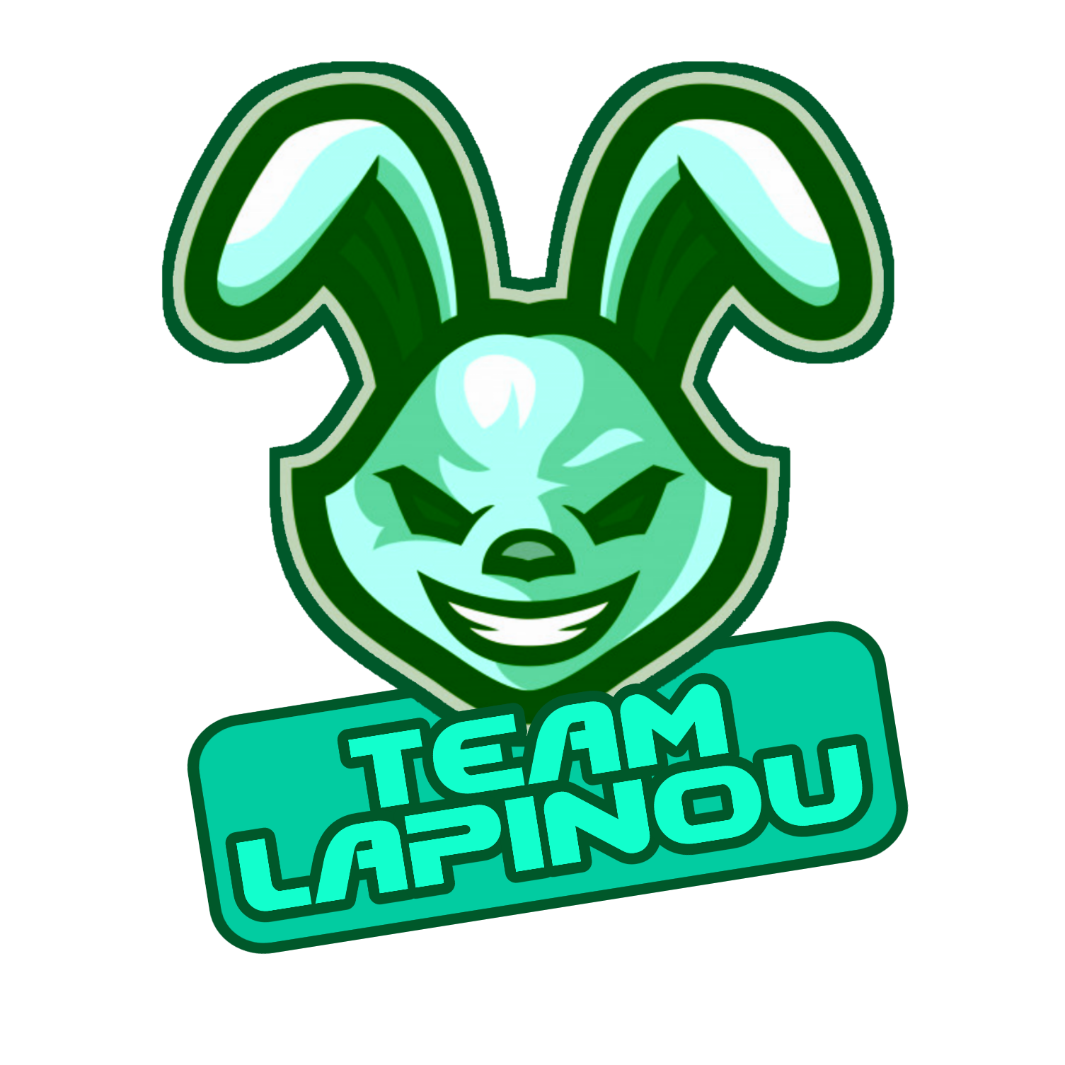 TEAM LAPINOU teamlapinou48