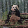 Stanley Yao stanleyyao0